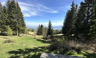 Exklusives Almhaus in Maria Lankowitz mit einer EINZIGARTIGEN Aussicht und RUHIGER LAGE! TOP-GELEGENHEIT! DAS CHALET FÜR NATURVERBUNDENE!