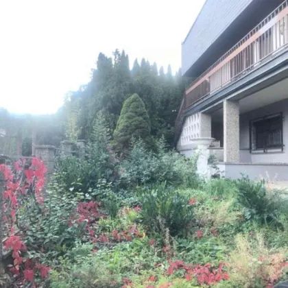 Prächtige Villa mit fantastischem Blick  - EINZIGARTIGE SCHÖNE LAGE, "Natur vor Ihrer Haustüre!" - Bild 3