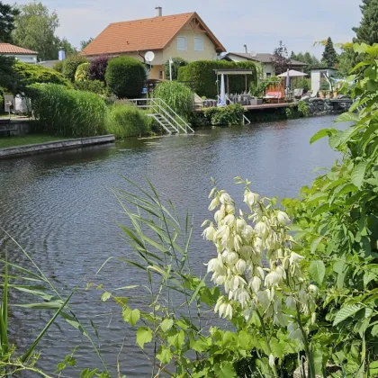 VERKAUFT: Der Traum vom eigenen Steg in den See wird hier wahr - Bild 2