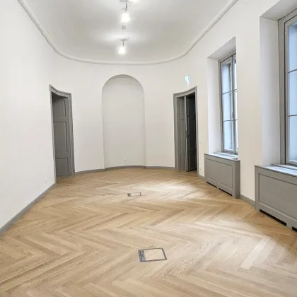 Großzügige Bürofläche im Palais Trauttmansdorff ca. 418 m² - Bild 3