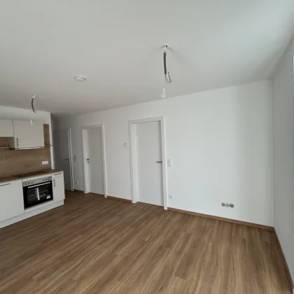 +43m² Wfl. + 6m² Balkon!+ Erstbezug in bester zentralen Lage, neben Oberpullendorf zu vermieten! +KEINE ABLÖSE!+ - Bild 2