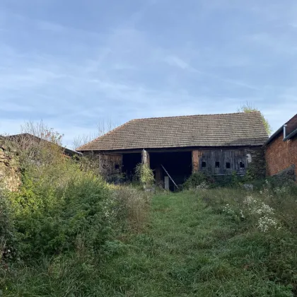 Sanierungsbedürftiger Streckhof mit großem Stadel - Bild 2