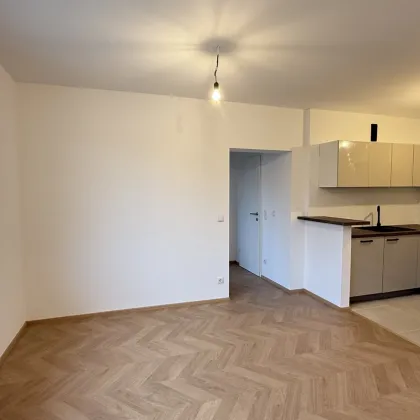 generalsanierte 2 Zimmerwohnung mit 44 m² Terrasse in Mödling | ZELLMANN IMMOBILIEN - Bild 2