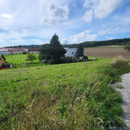 1.353 m2 Baugrund in erhöhter Lage - Bild 2