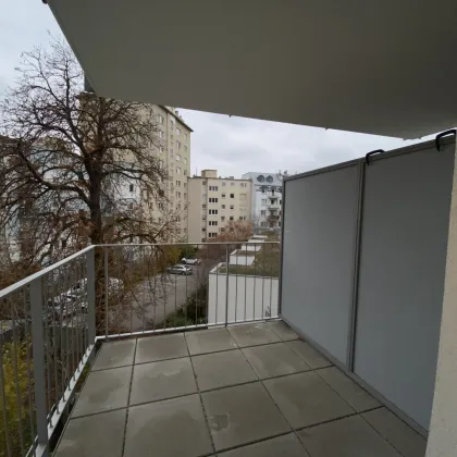 Moderne 2-Zimmer Wohnung mit Terrasse in 1210 Wien zu vermieten - Bild 3