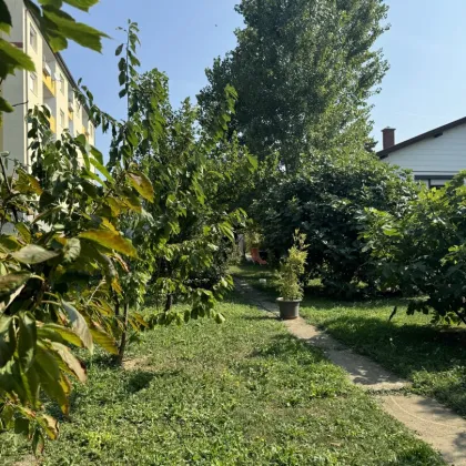 Schnäppchenpreis - Charmantes Einfamilienhaus mit Garten in zentraler Lage in Eisenstadt - Bild 3