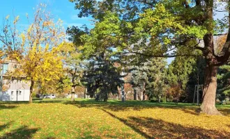 NEU in ALT  perfekt ergänzt- gleich beim Belvedere und Schweizergarten