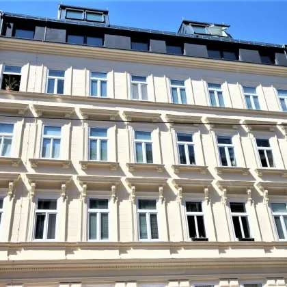 PERFEKTE WOHNUNG FÜR STADTBUMMLER UND WIEN LIEBHABER - Bild 2