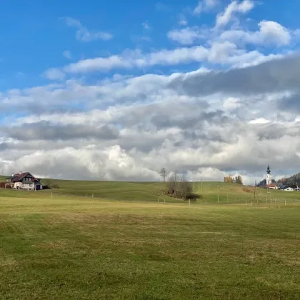 MITTEN IN DER FAISTENAU: Romantisches JAGDHAUS mit zwei Wohnungen direkt an der Langlaufloipe - Bild 2