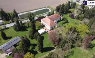 Ein Märchenschloss Nähe Wildon-komplett saniert mit prachtvoller ca. 40.000m² Parkanlage - Biomasseheizung!