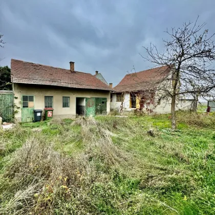 BAUGRUNDSTÜCK MIT EINEM SANIERUNGSBEDÜRFTIGEN HAUS IN LASSEE - Bild 3