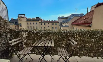 Sonnige 2 Zimmer Dachgeschosswohnung mit Terrasse nähe AKH (Klimaanlage)